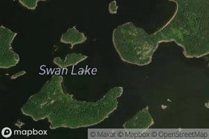 Swan Lake