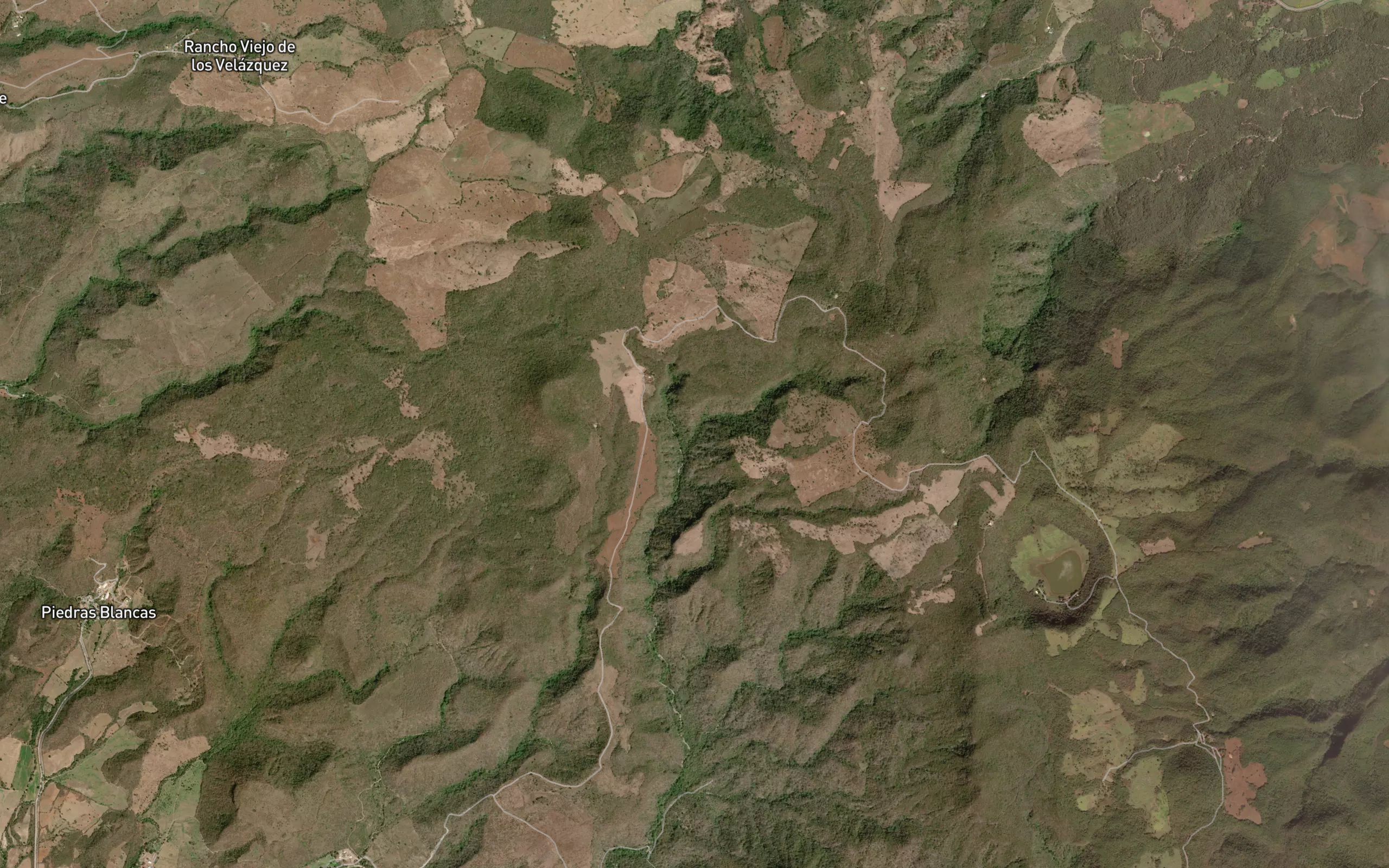 Barranca de Las Palmitas
