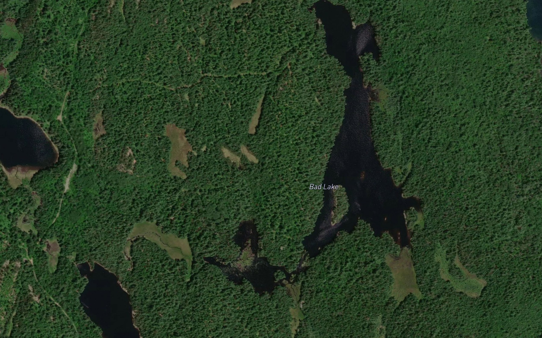 Satellite map of the Bad Lake