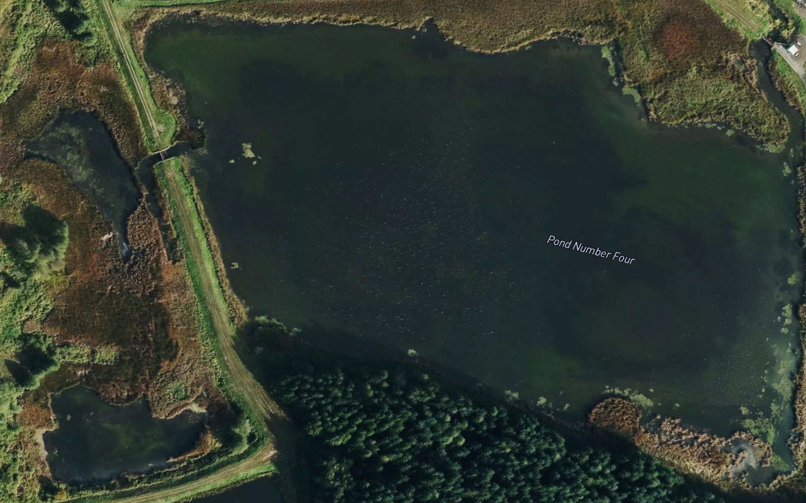 Pond Number Four