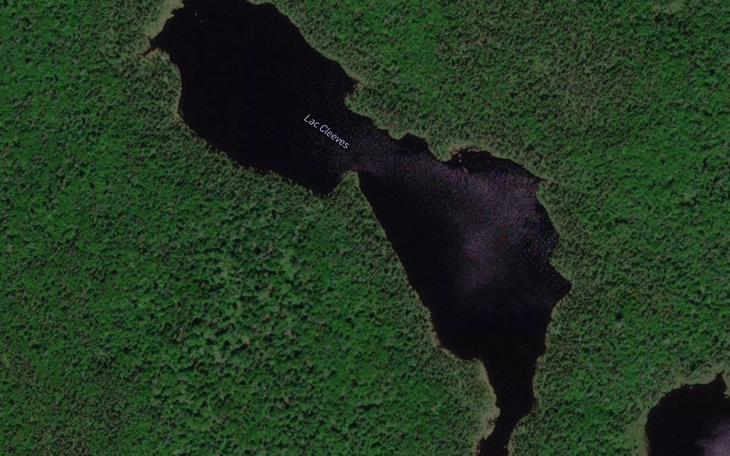 Lac Cleeves
