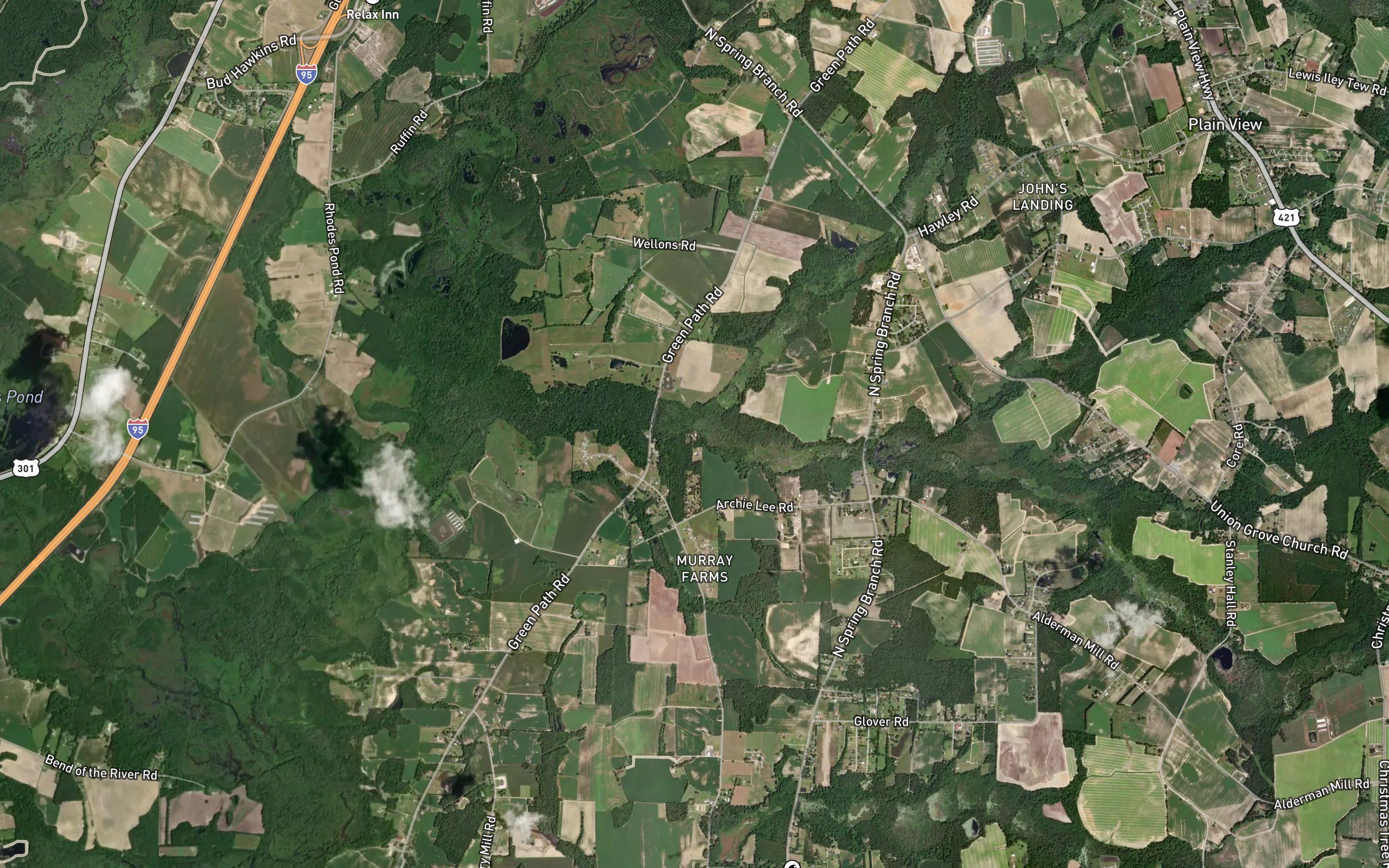 Beaverdam Swamp