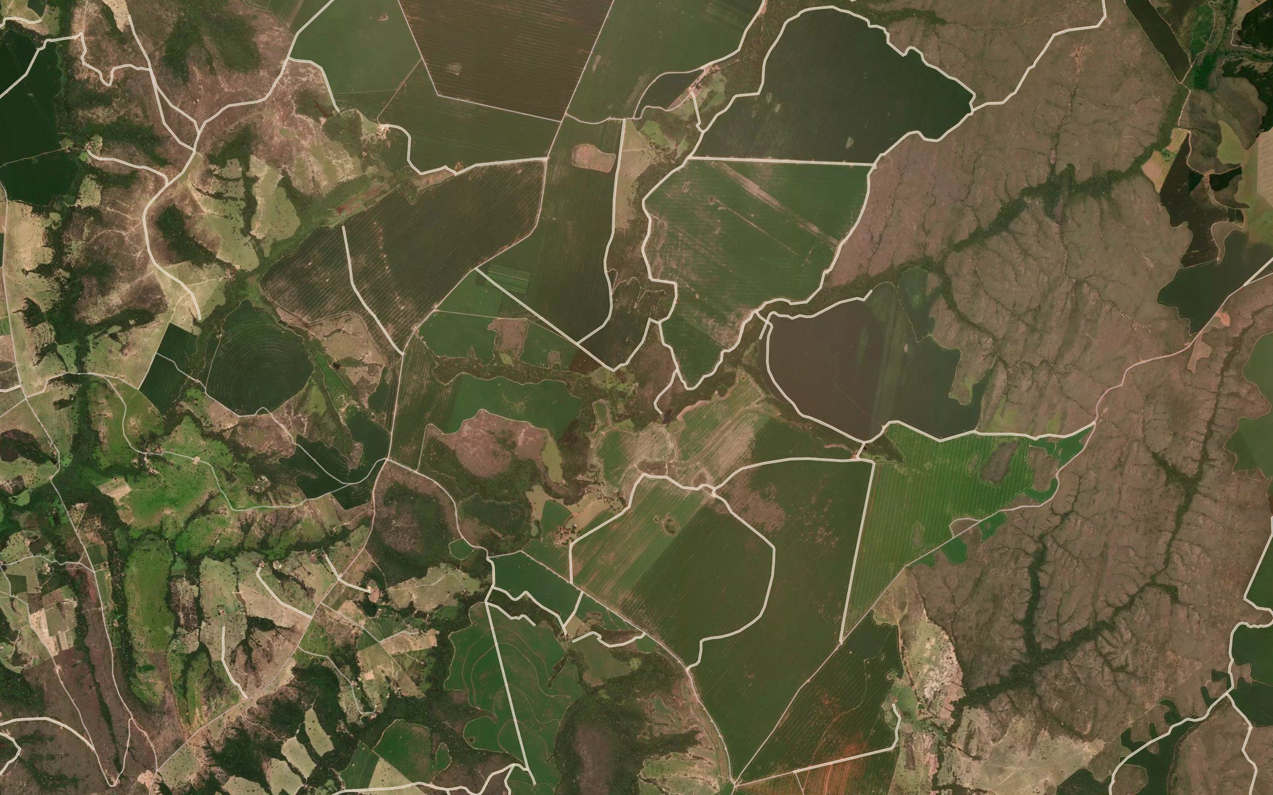 Corrego Cedro