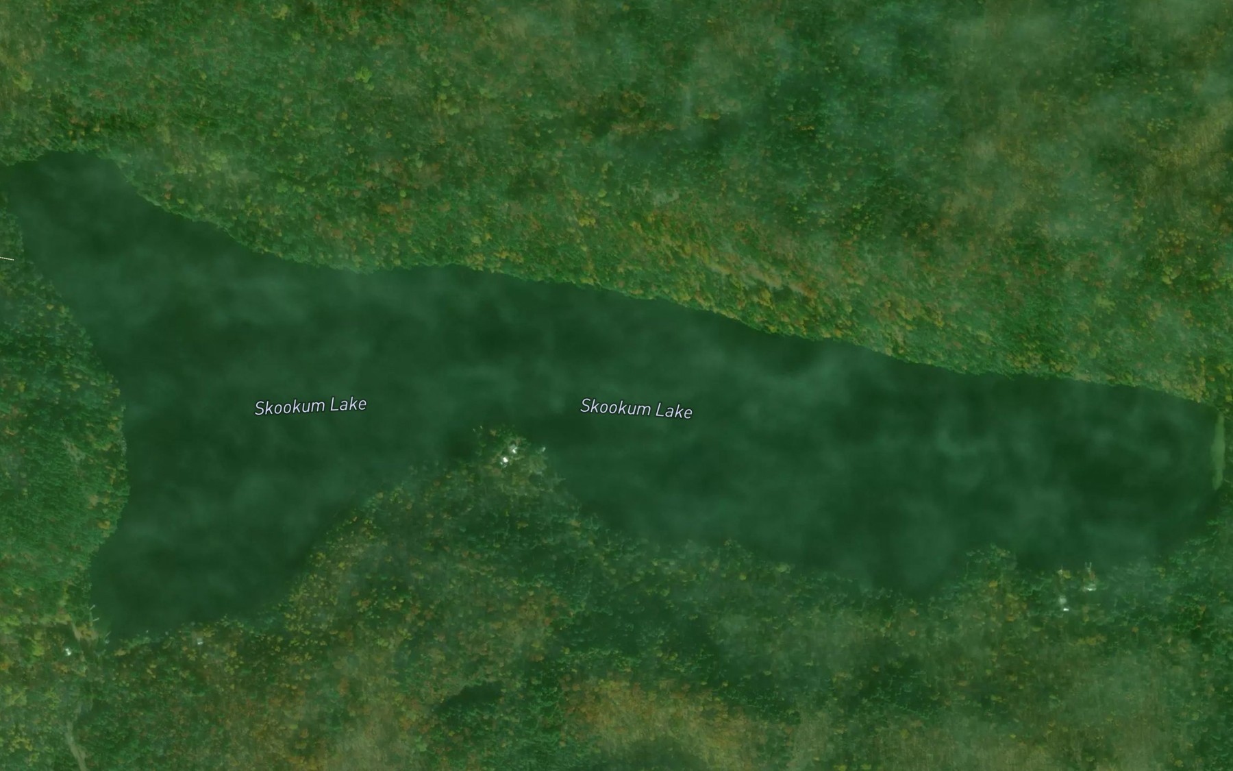 Satellite map of the Skookum Lake