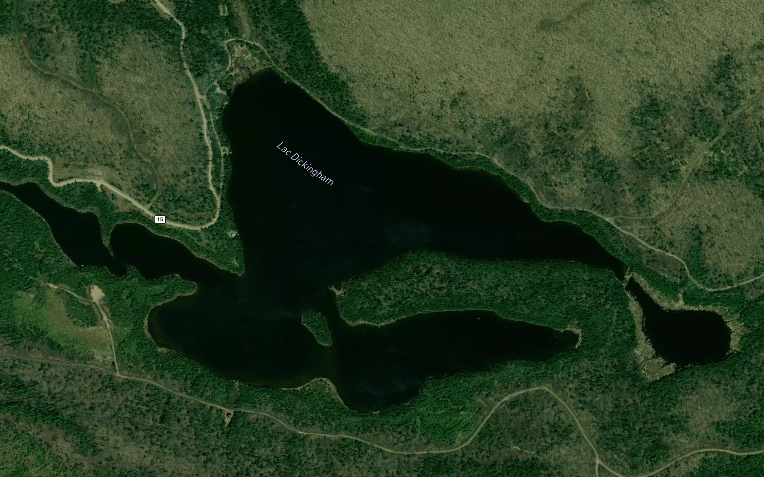 Lac Dickingham