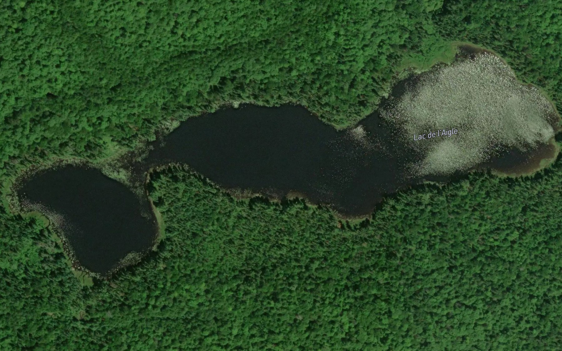 Satellite map of the Lac de l'Aigle