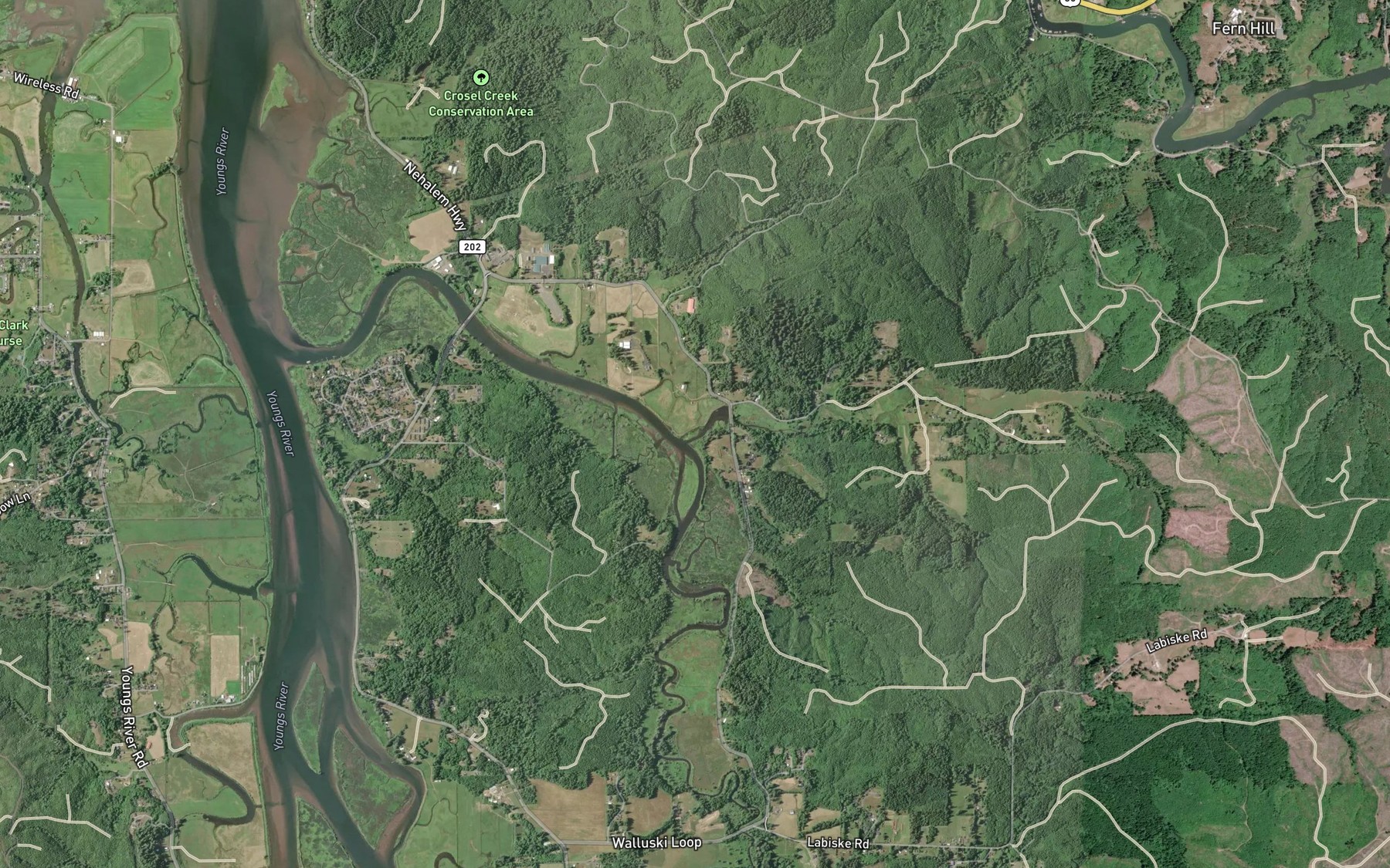 Satellite map of the Little Wallooskee River