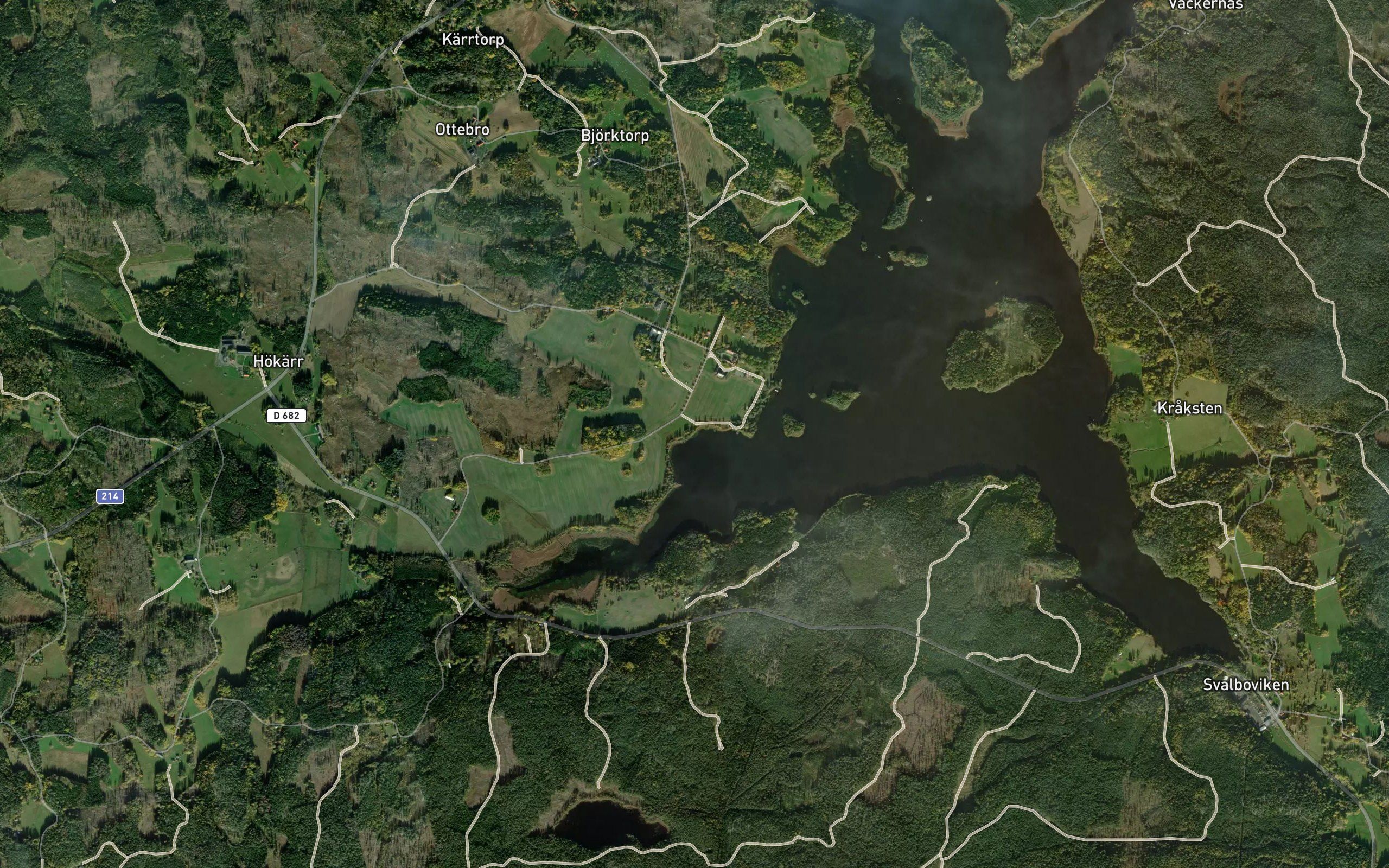 Timmerviken