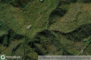 Left Branch Mill Run