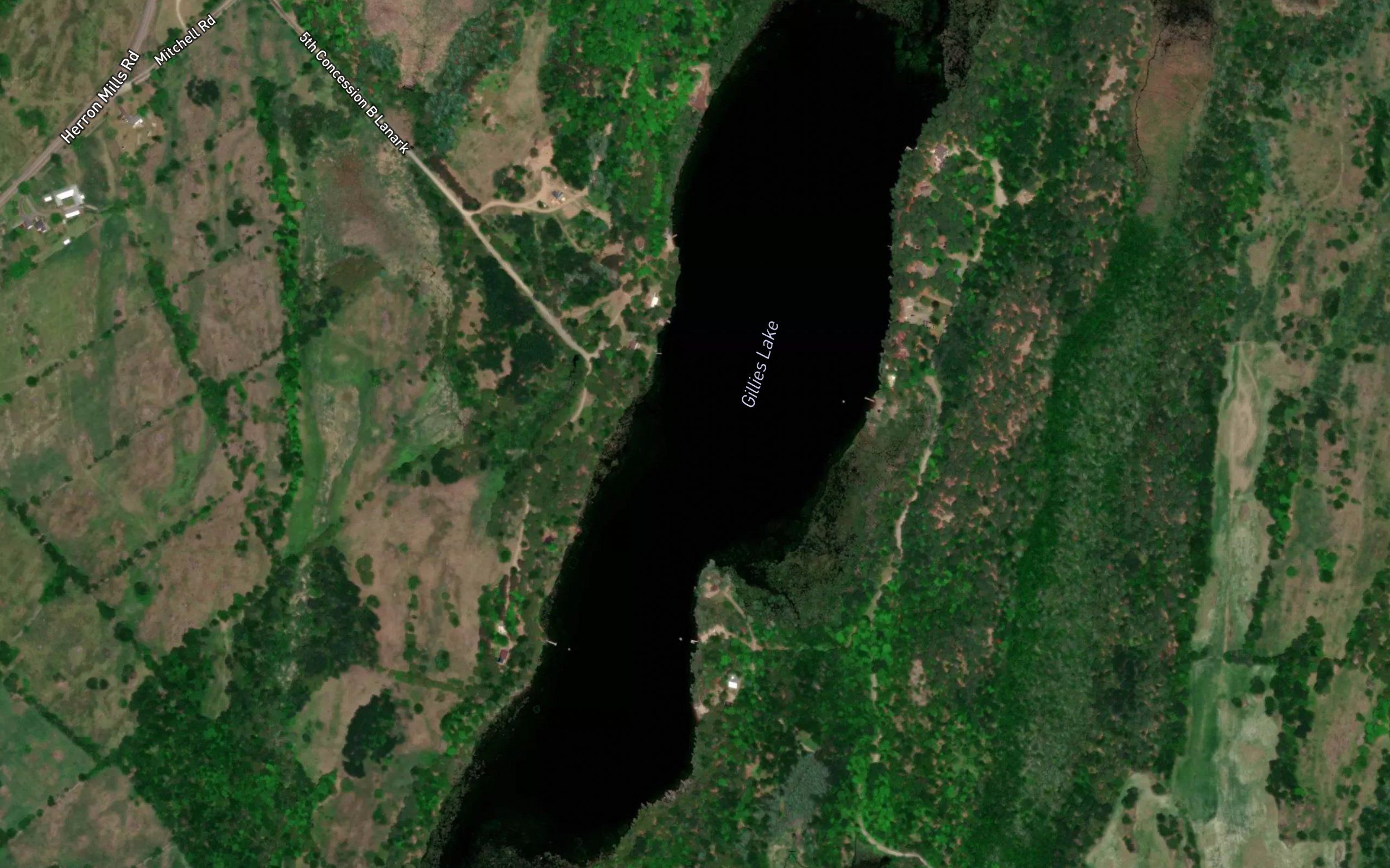 Gillies Lake