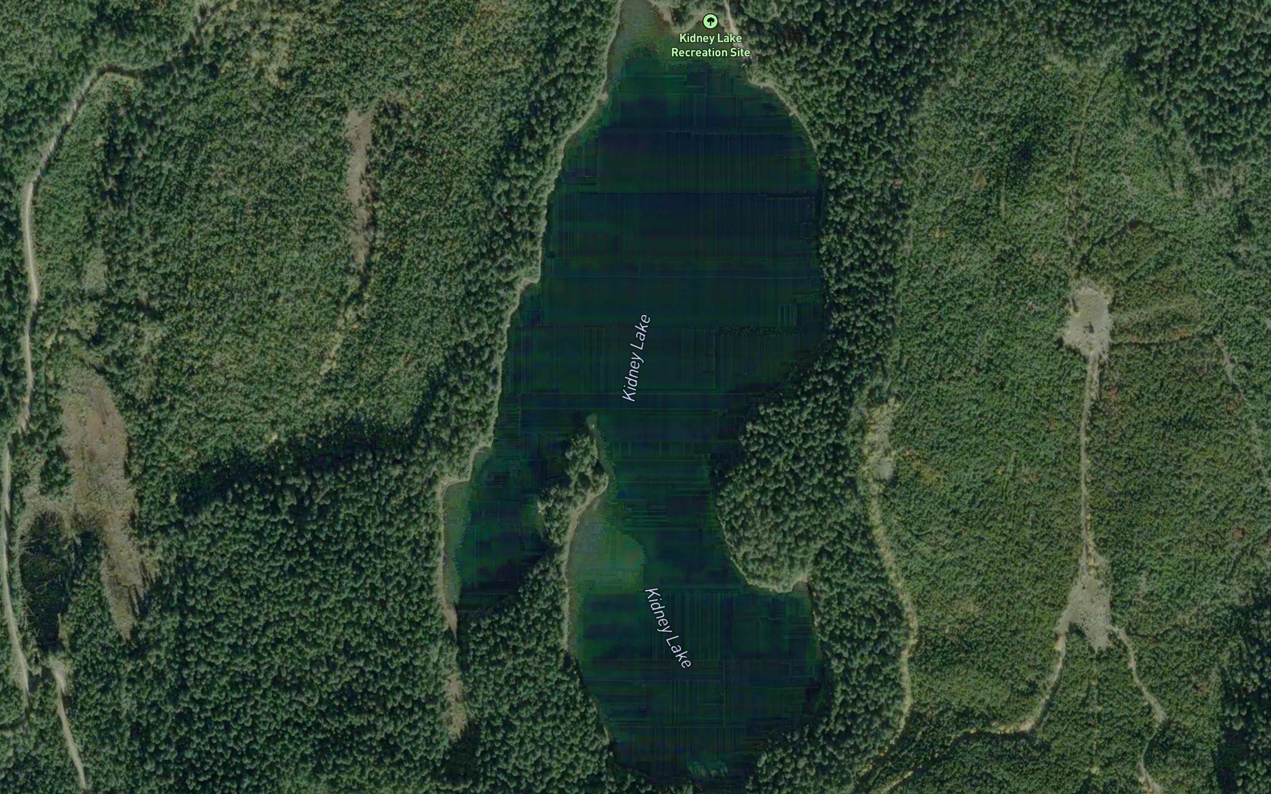Kidney Lake