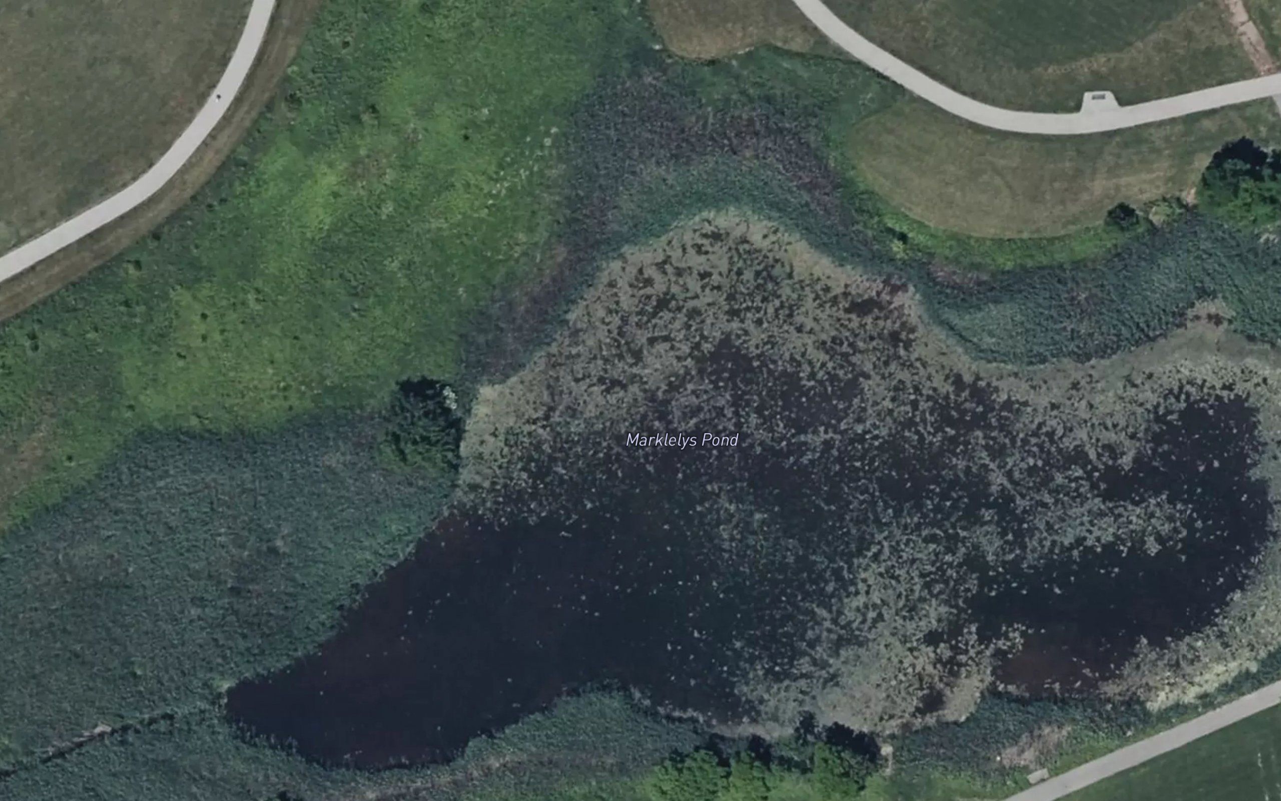 Marklelys Pond