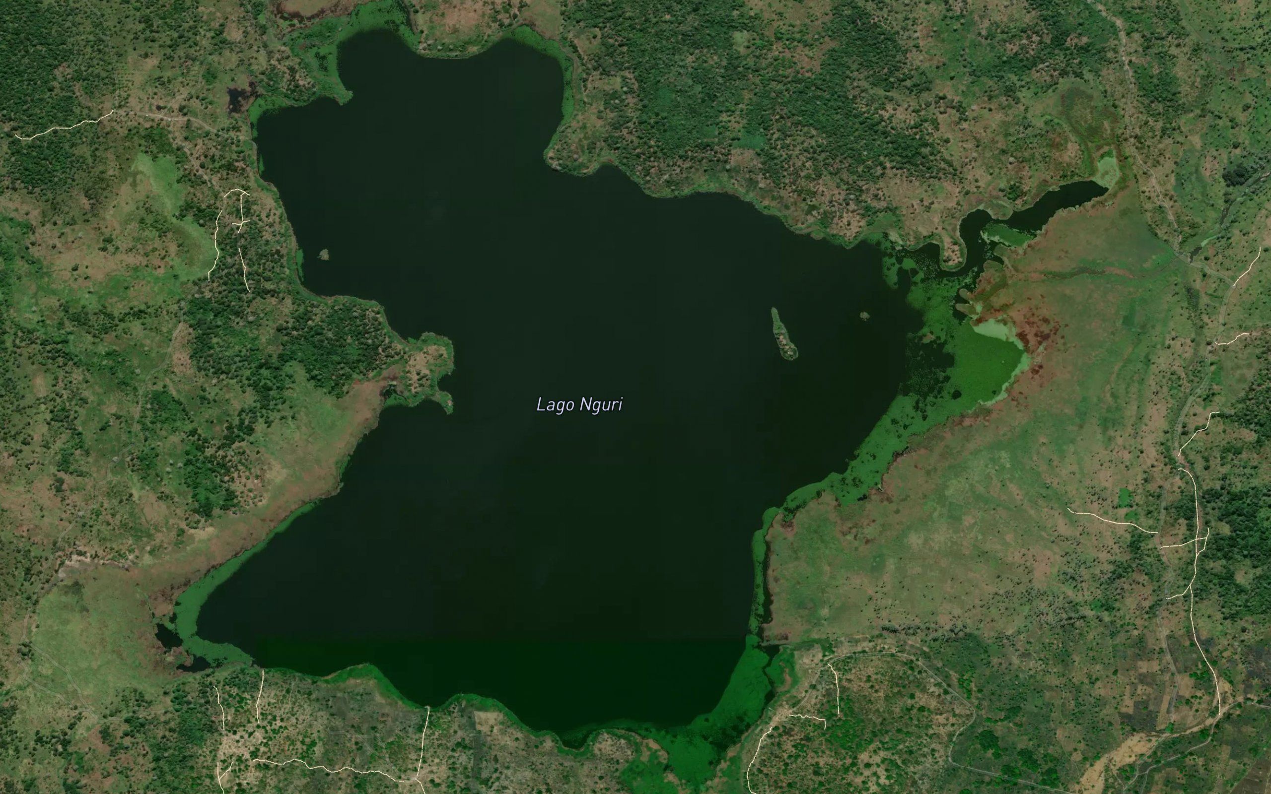 Lagoa Neguri