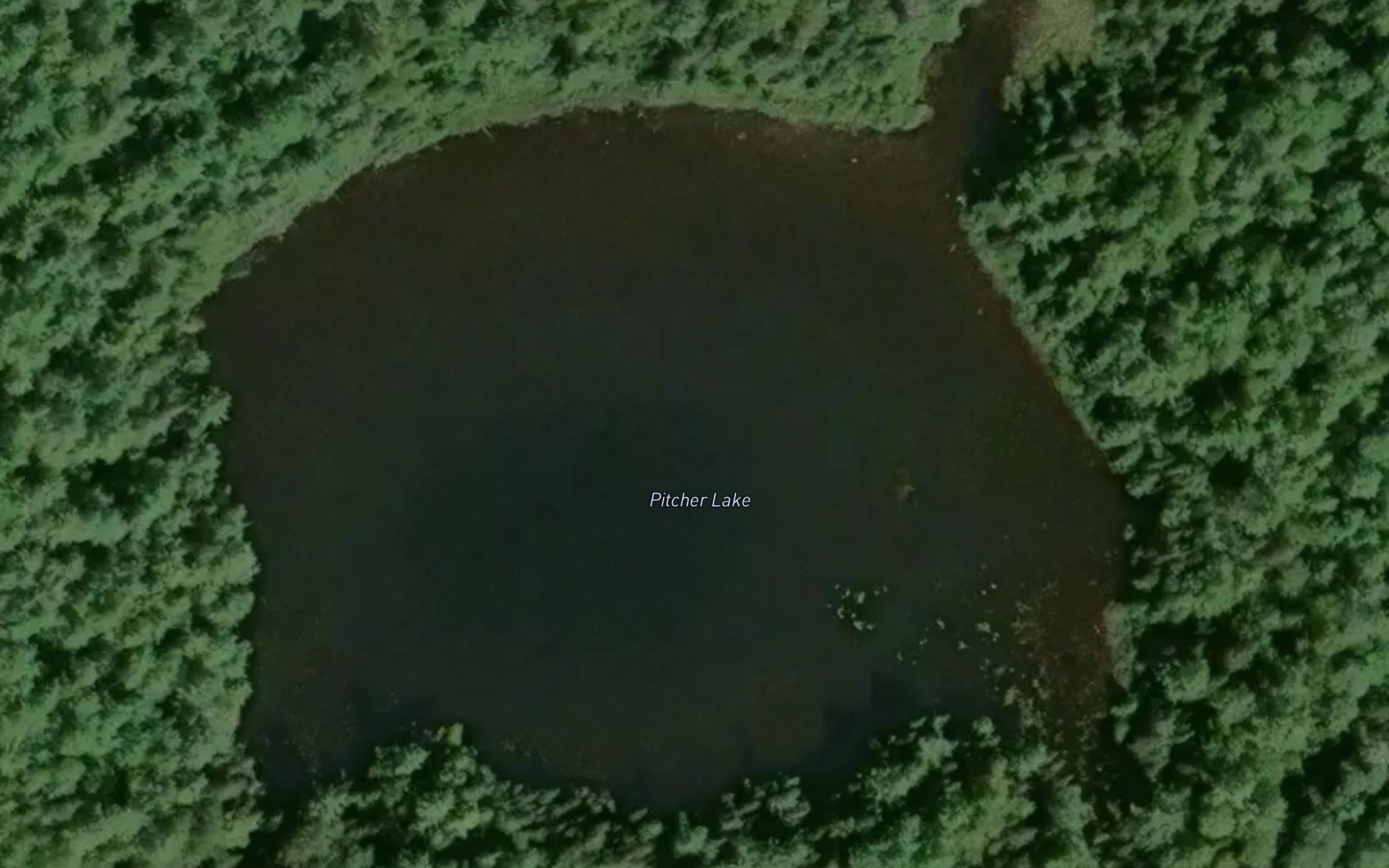Pitcher Lake