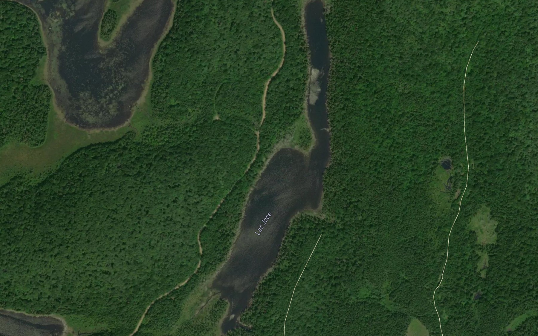 Satellite map of the Lac Joce
