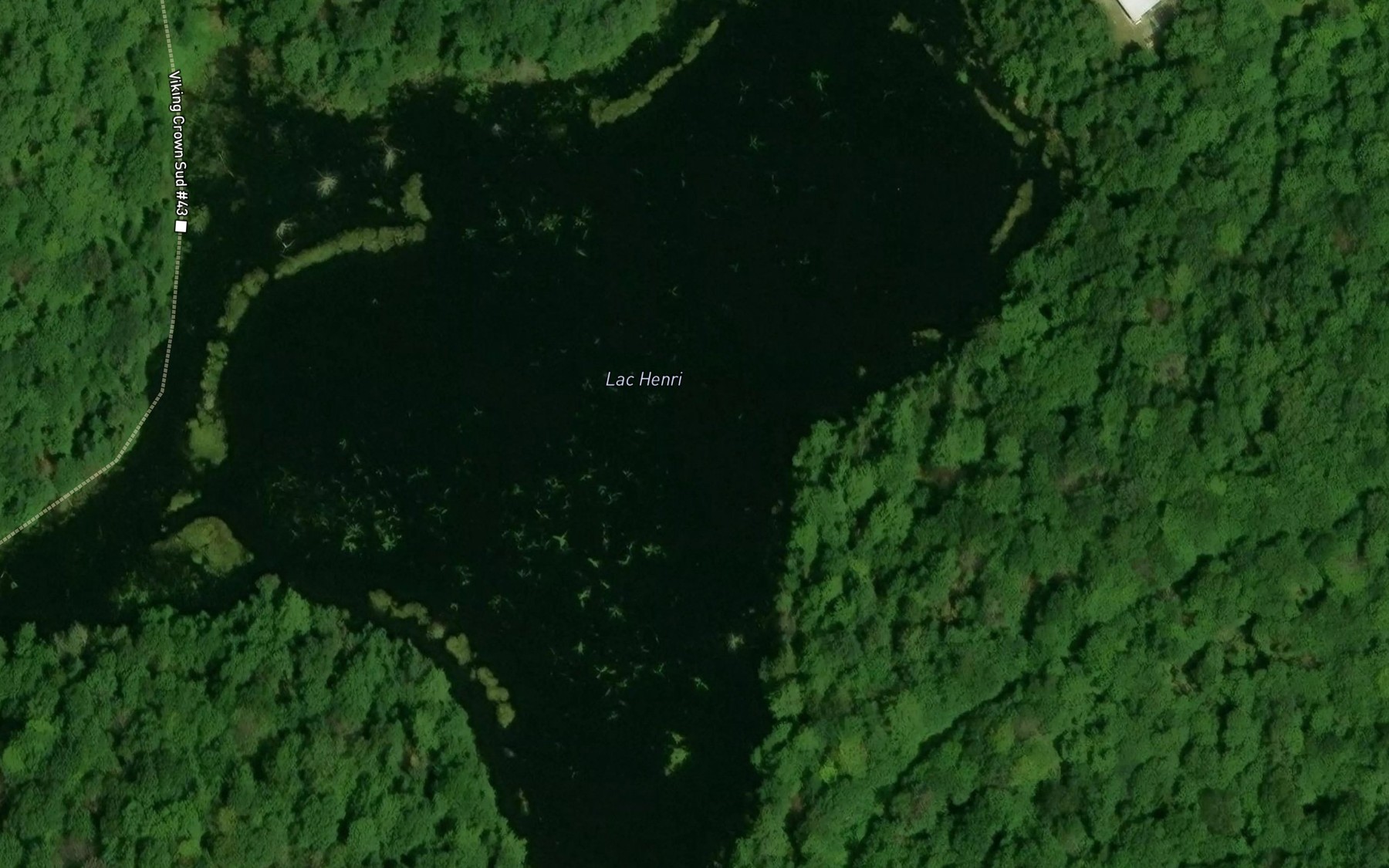 Satellite map of the Lac Henri