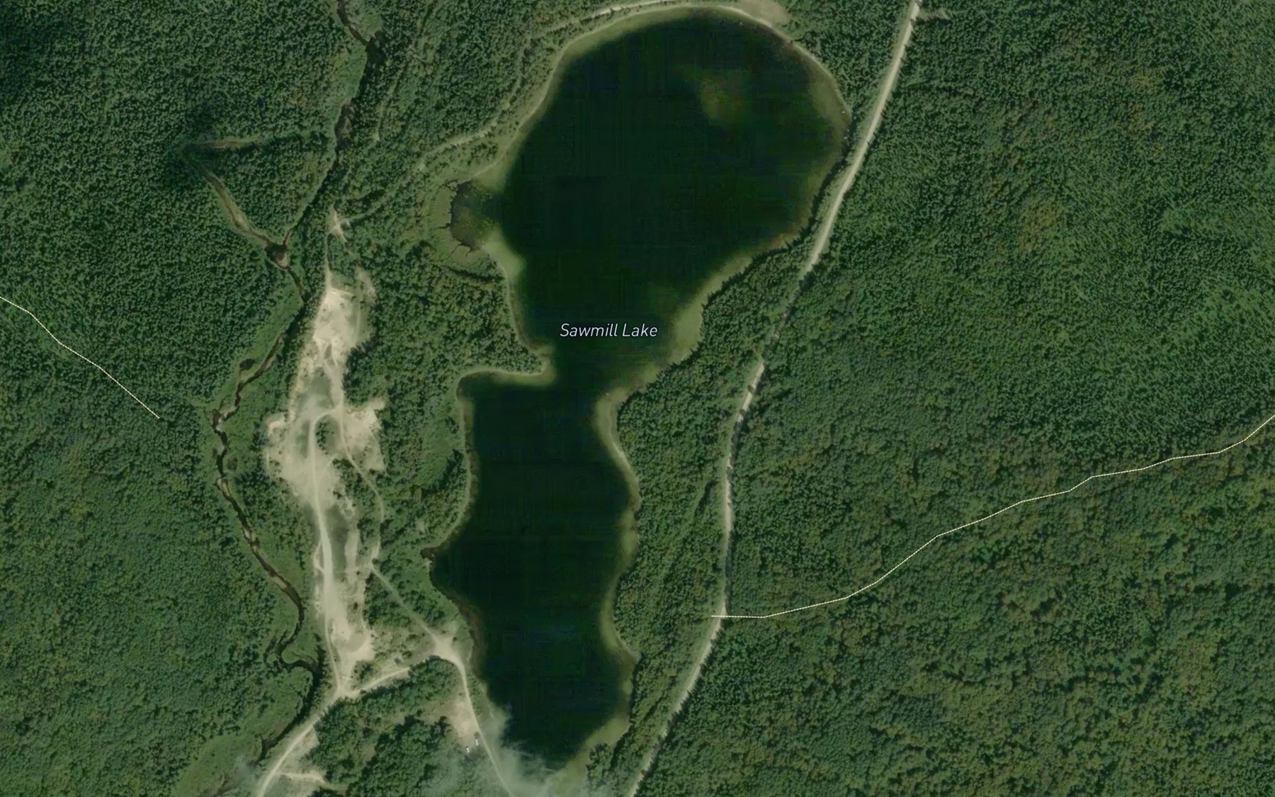 Satellite map of the Sawmill Lake
