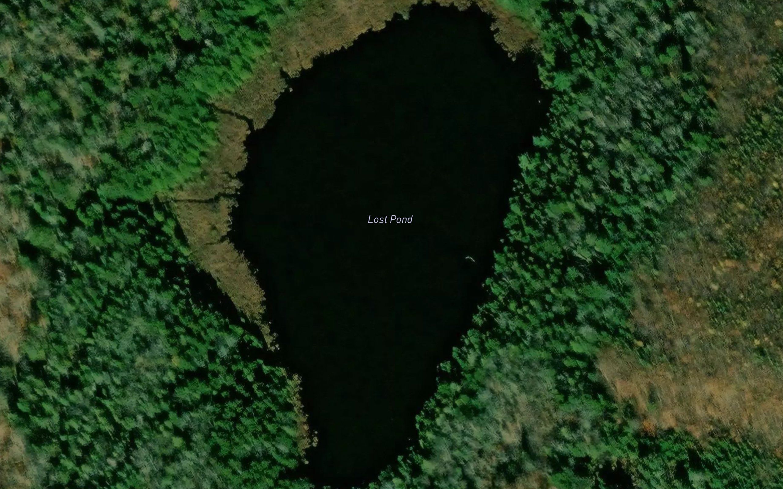 Lost Pond