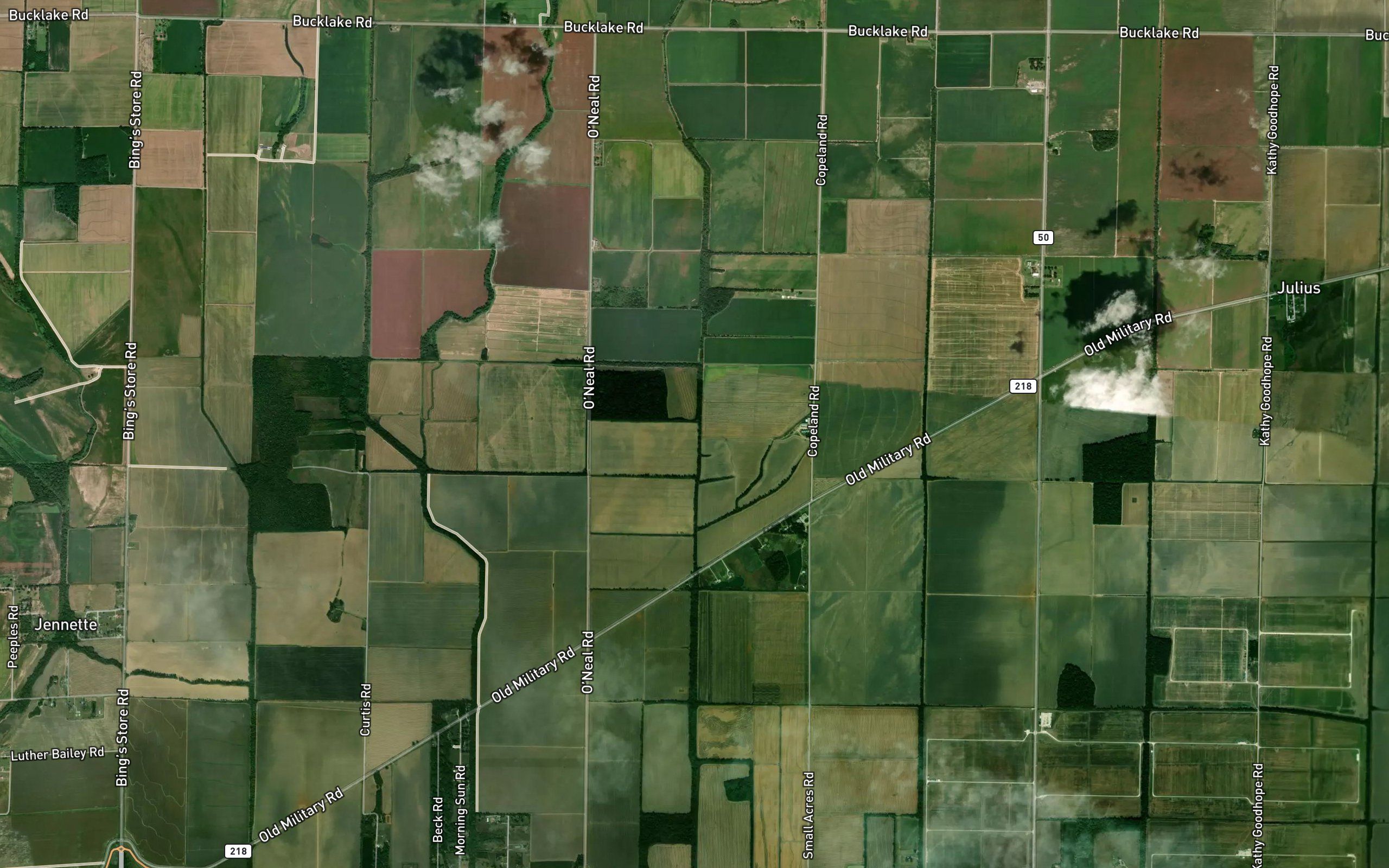 Ditch Number 19