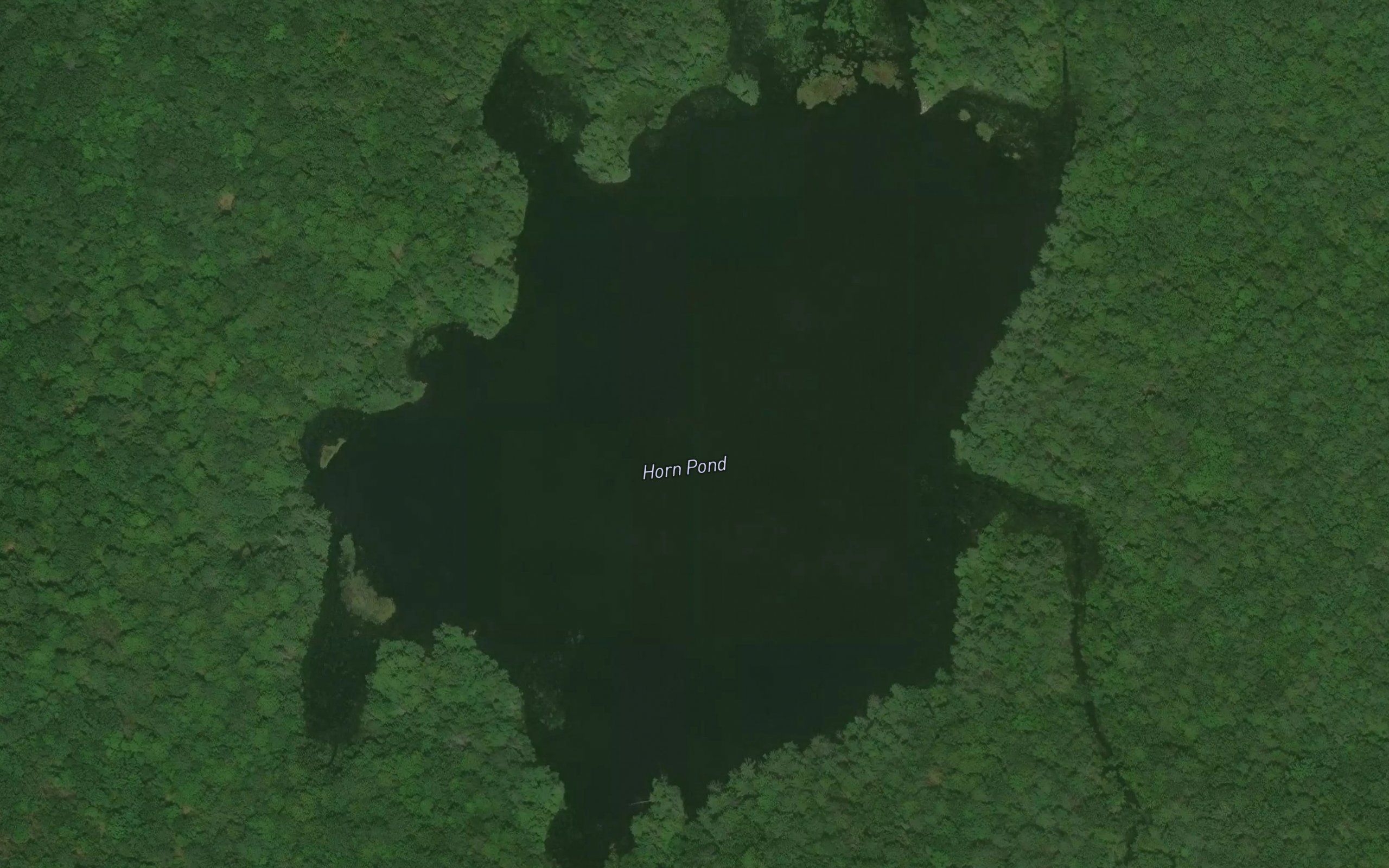 Horn Pond