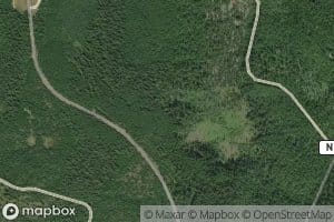 North Fork Curley Creek