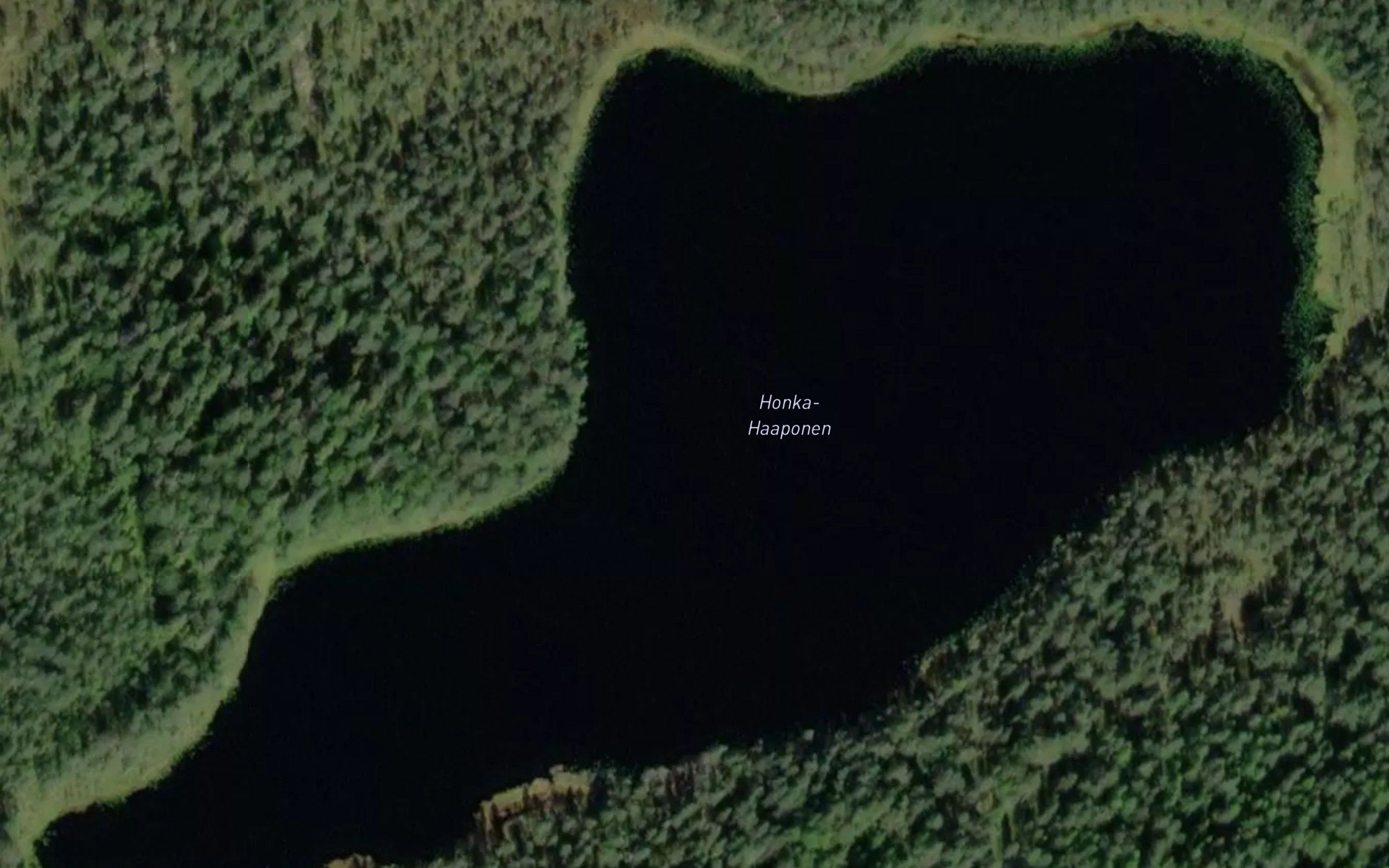 Honka-Haaponen
