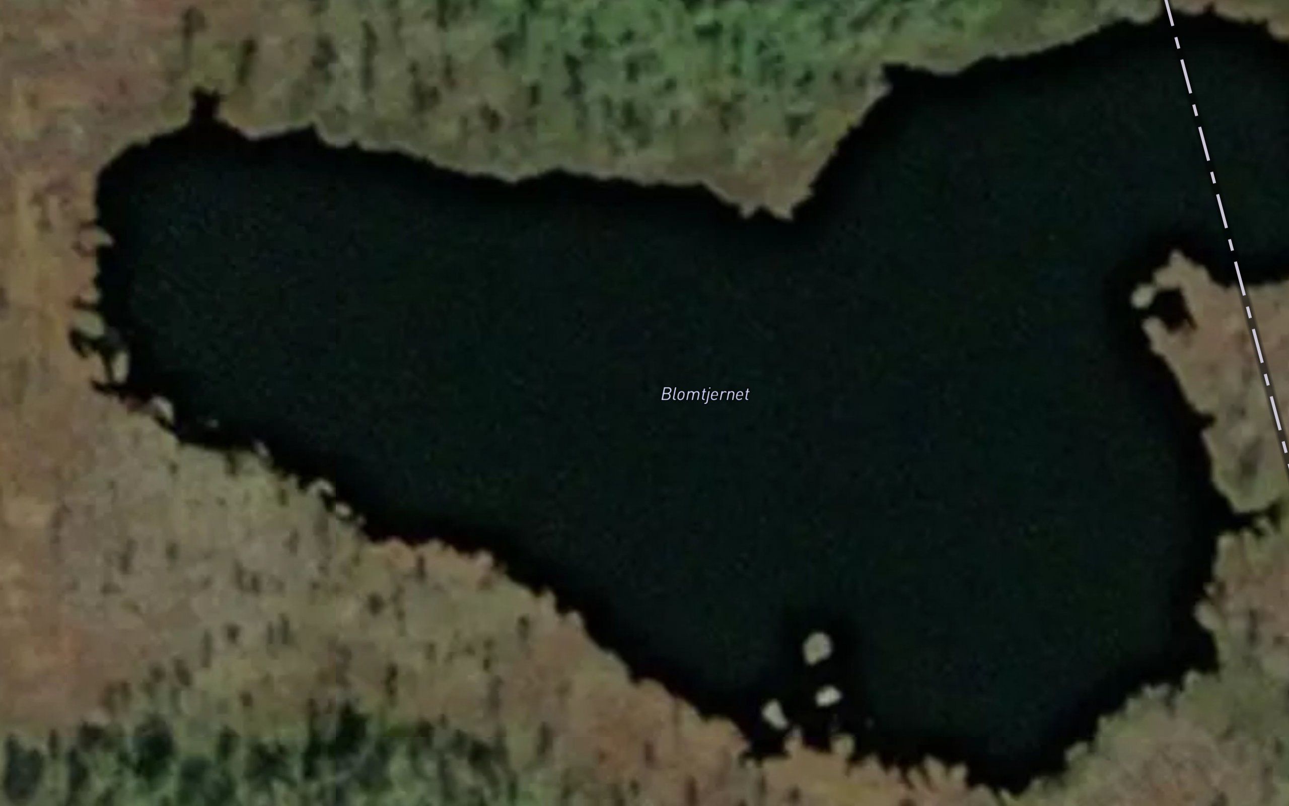 Blomtjernet