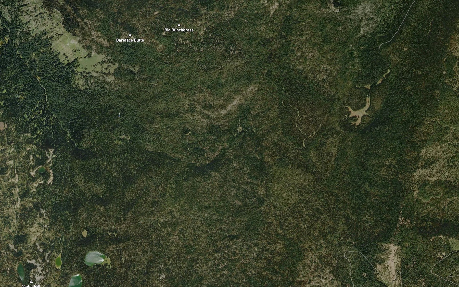 Satellite map of the Ranger Spring