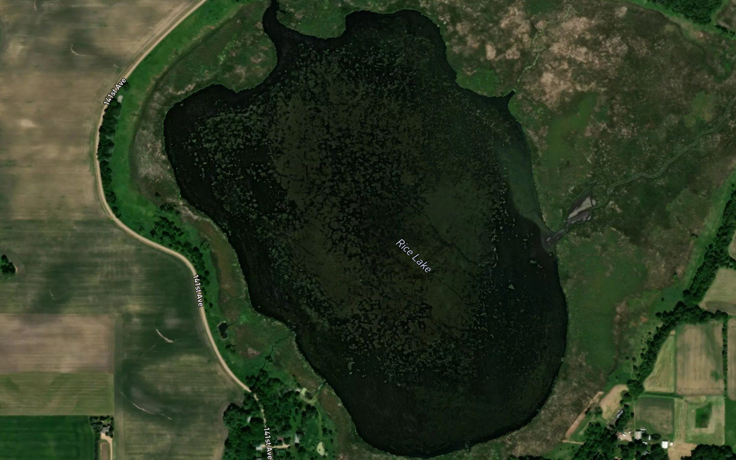 Rice Lake