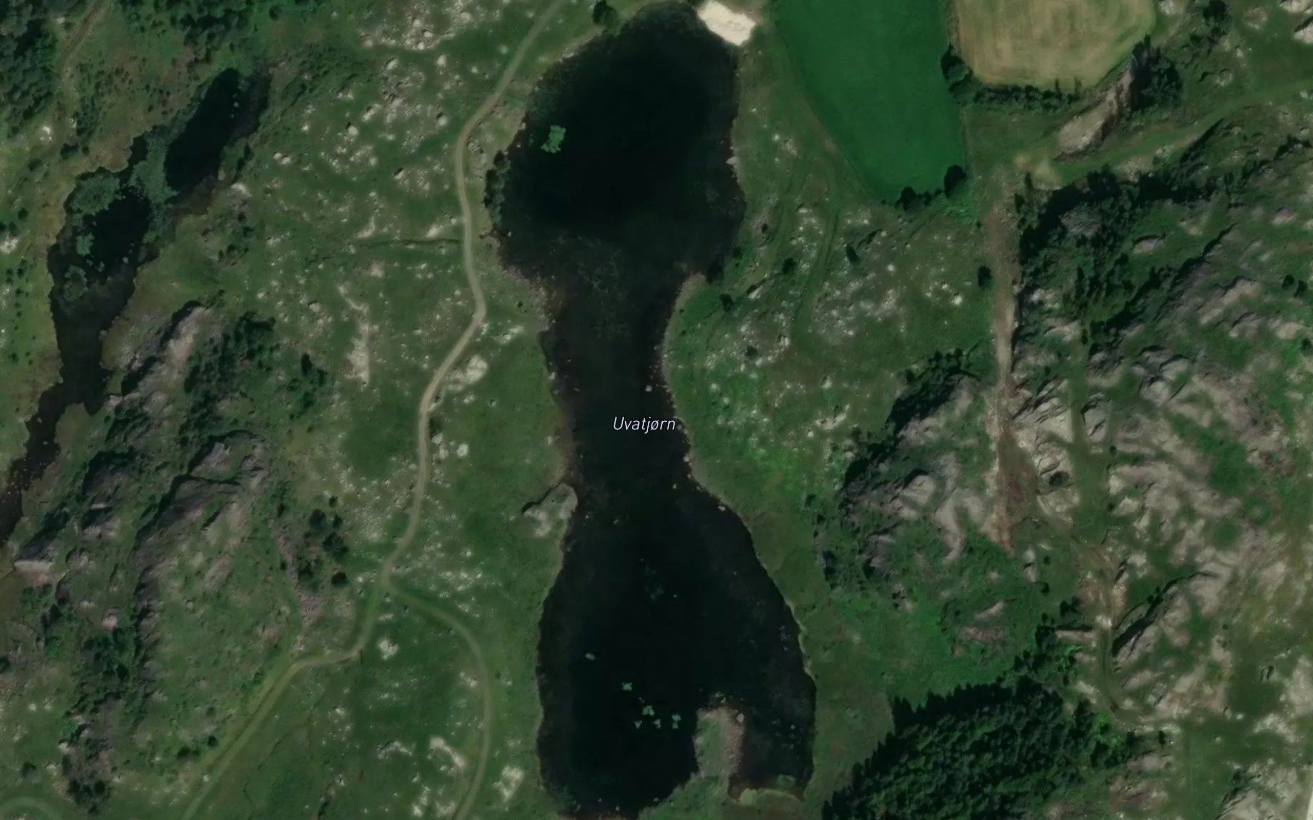 Uvatjorn