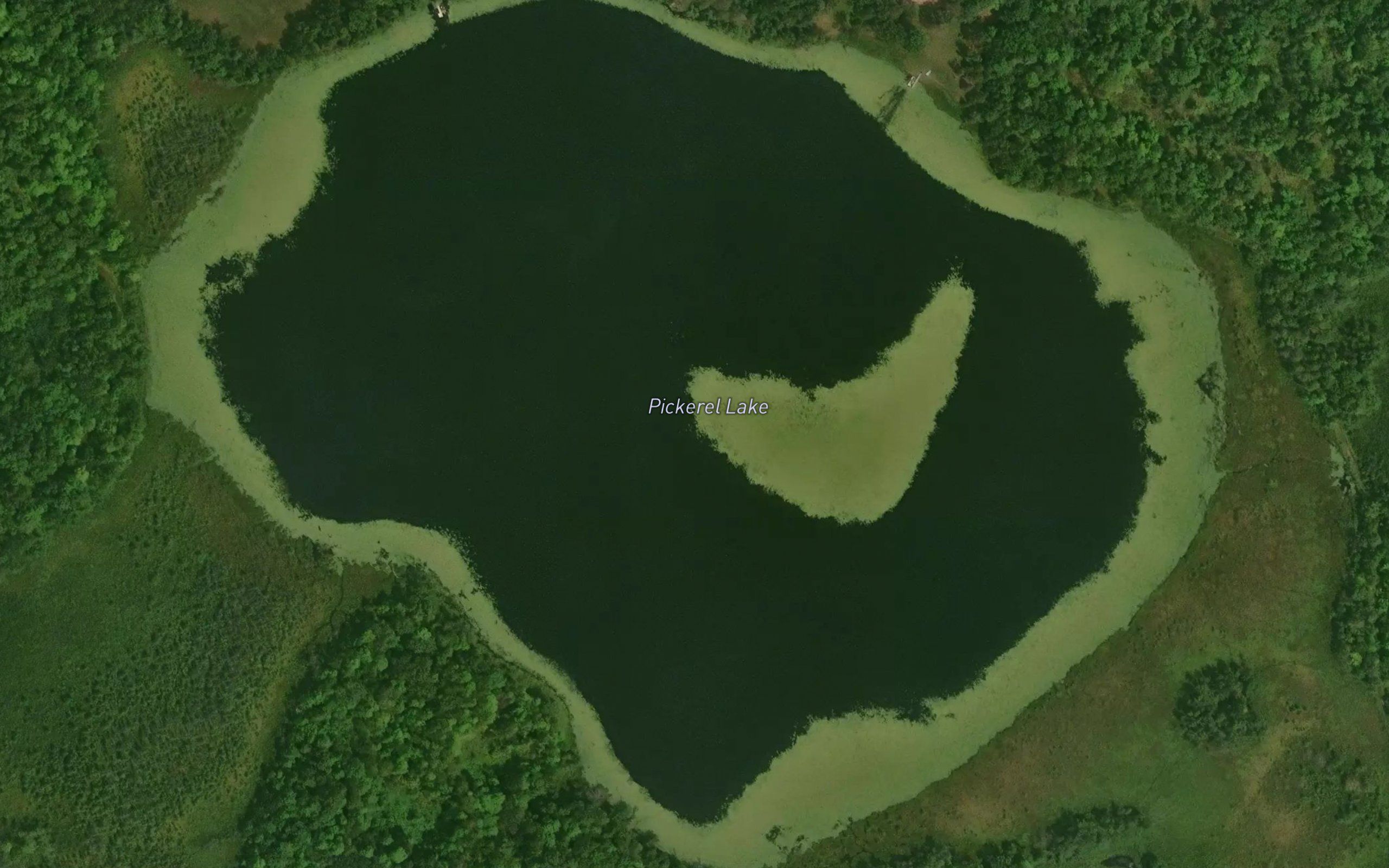 Pickerel Lake