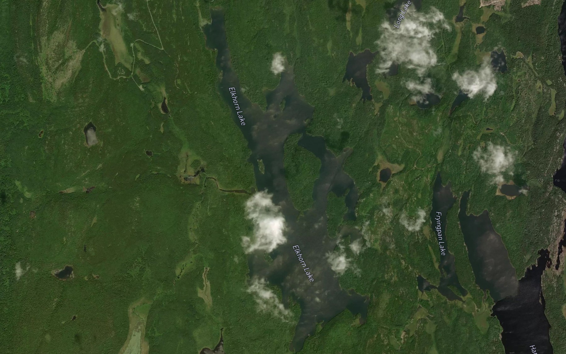Satellite map of the Elkhorn Lake
