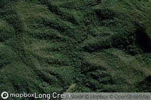 Palm Gully