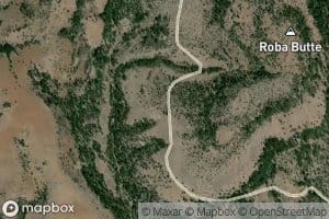 Dozer Spring