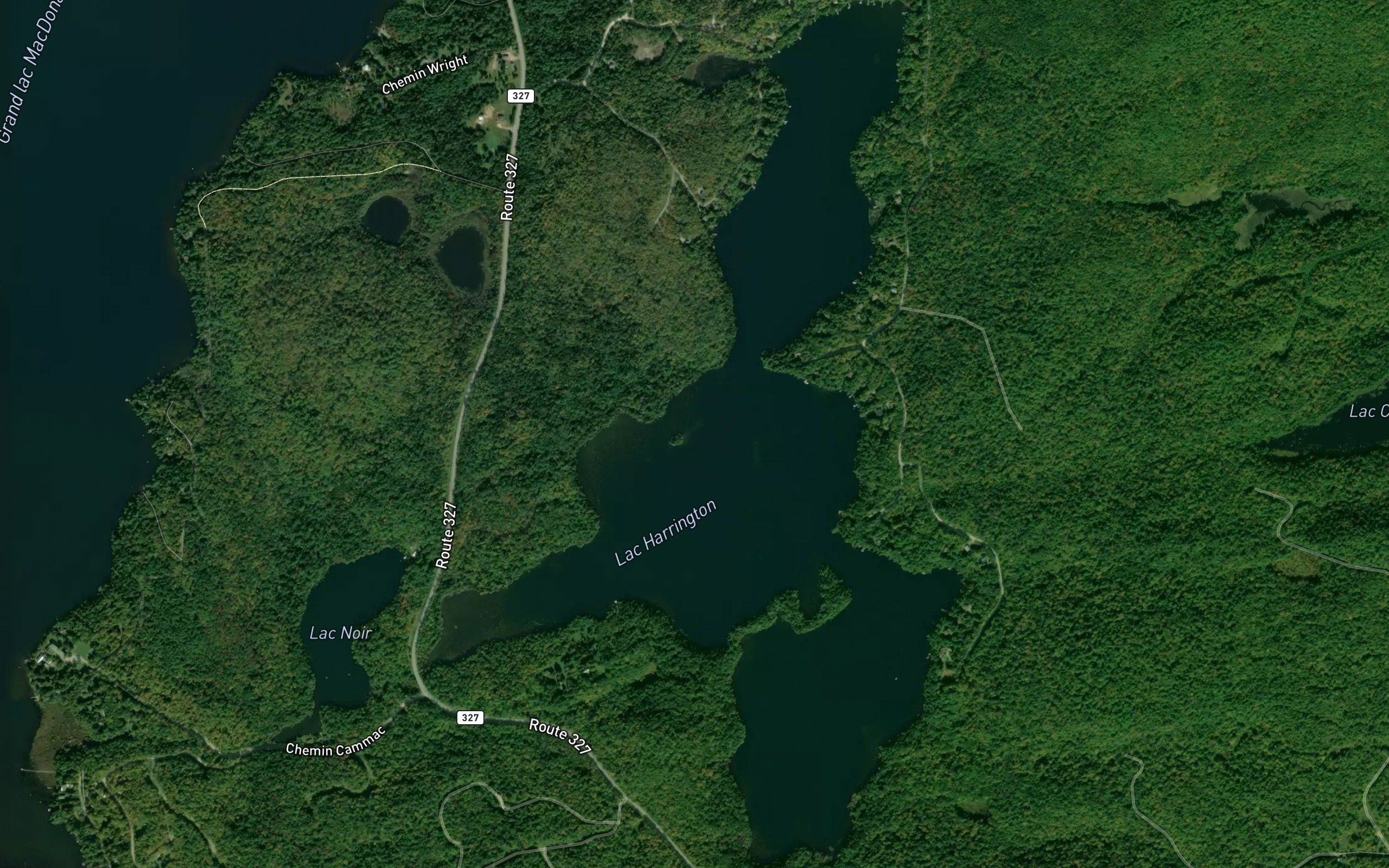 Lac Harrington