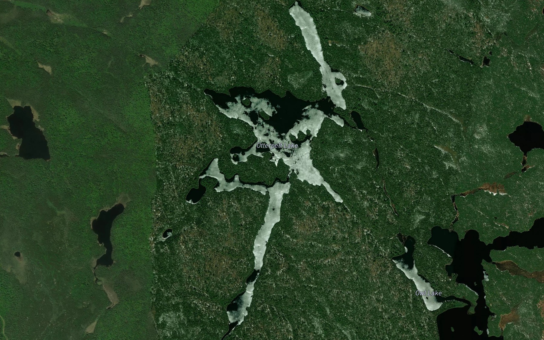 Satellite map of the Otterpelt Lake