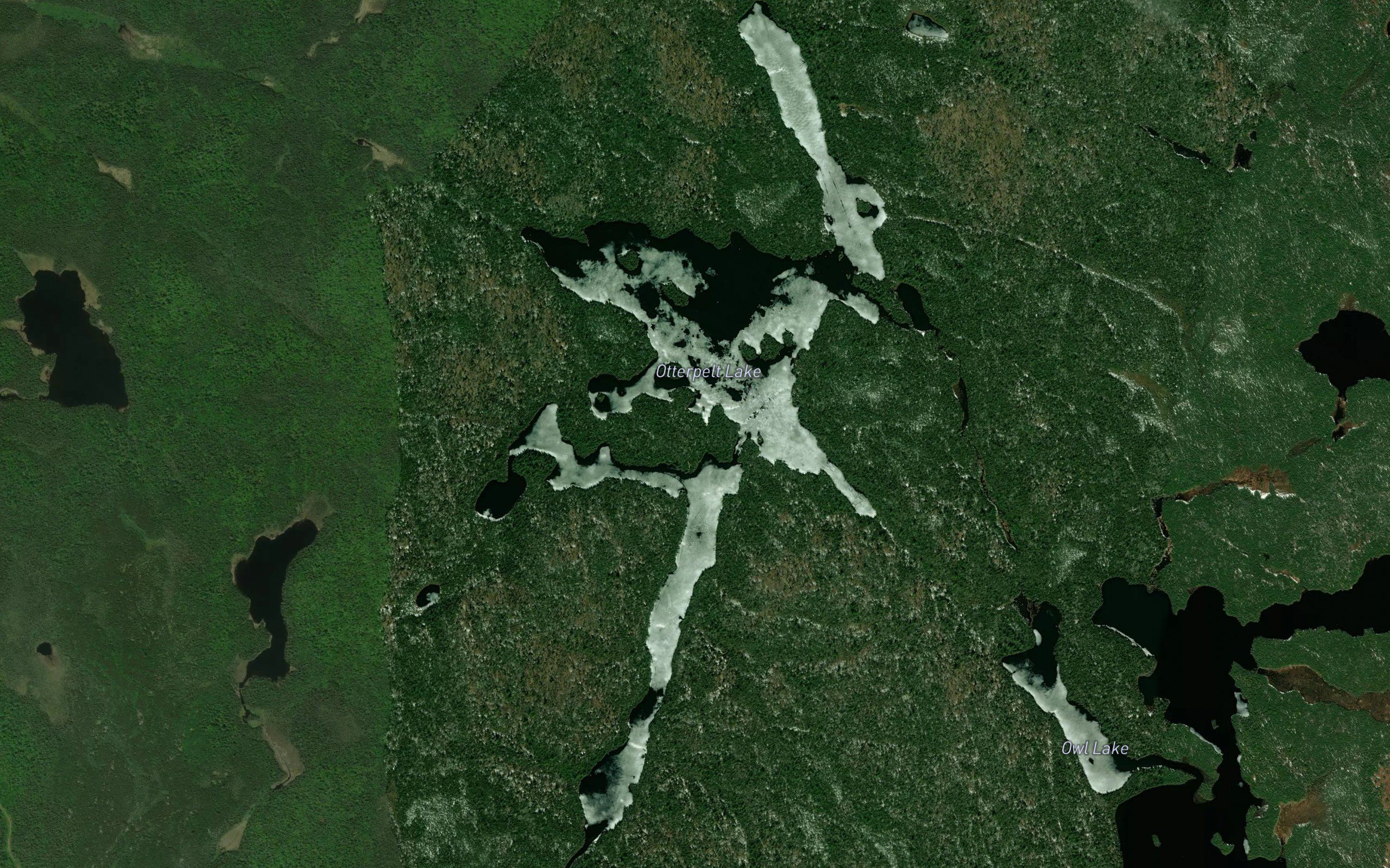 Otterpelt Lake