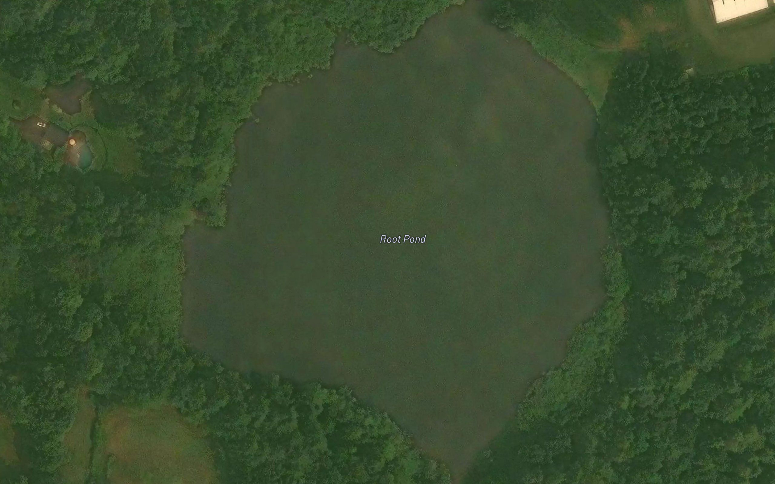 Root Pond