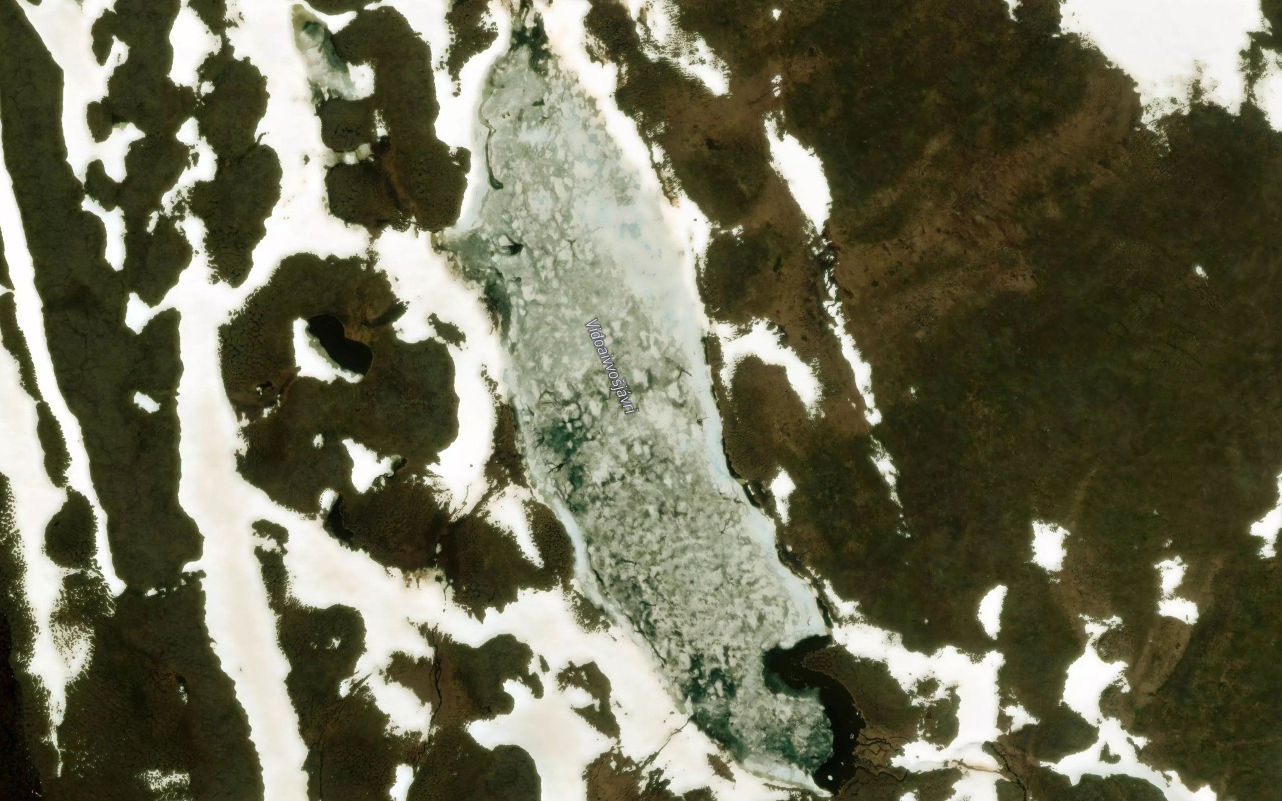 Vigoaivusjavri