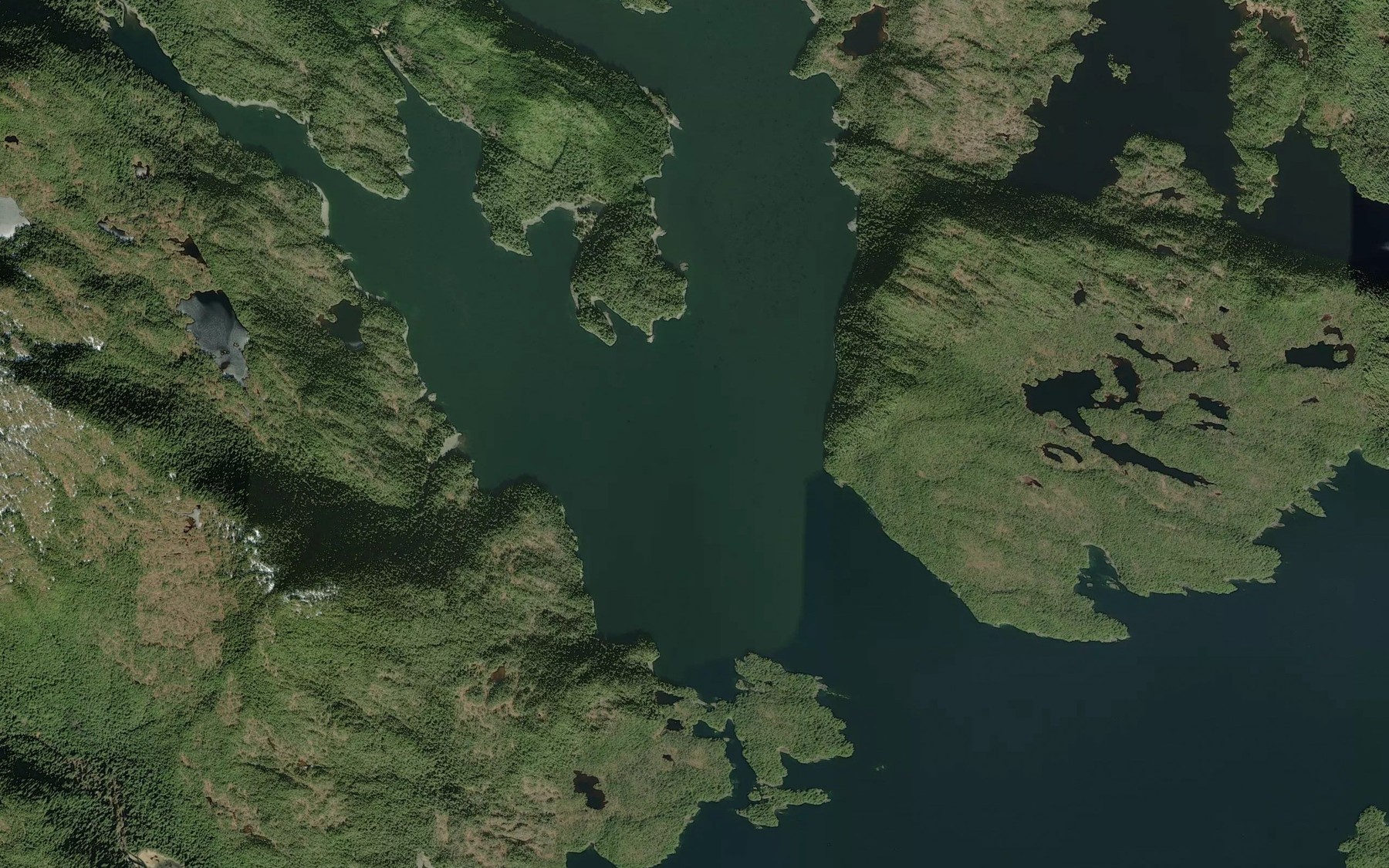 Satellite map of the Dickman Bay