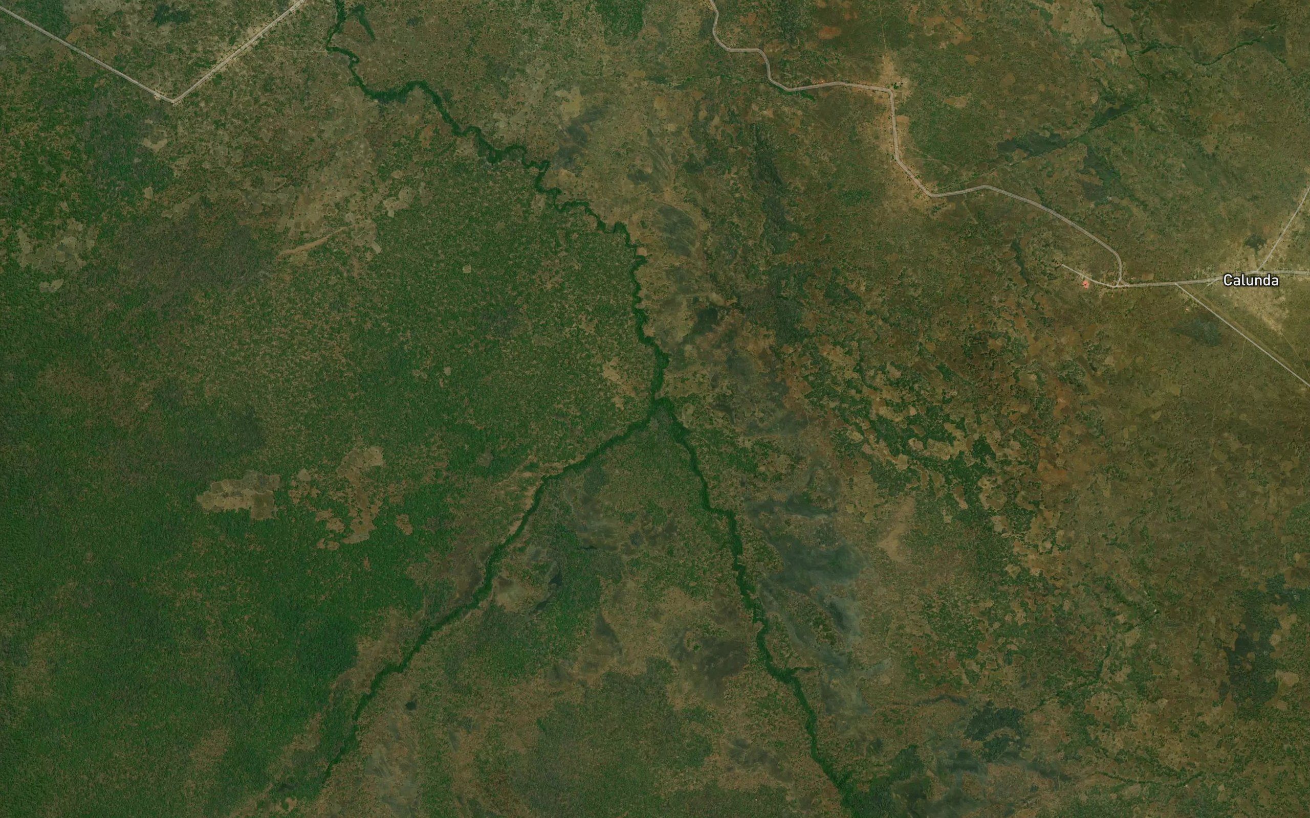 Cambulunga