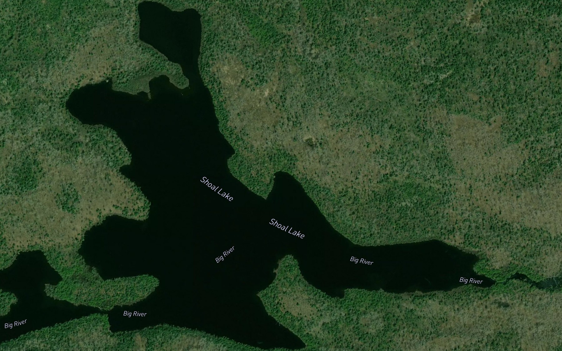Satellite map of the Shoal Lake