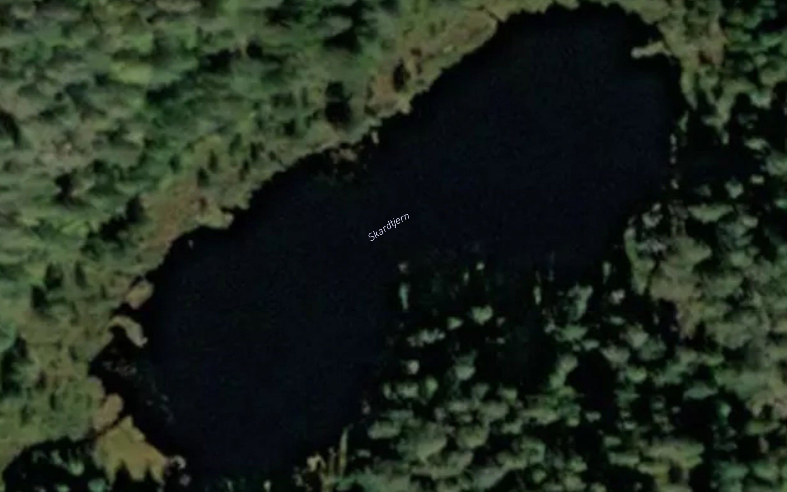 Skardtjern