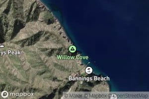 Willow Cove