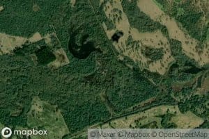 Alligator Creek