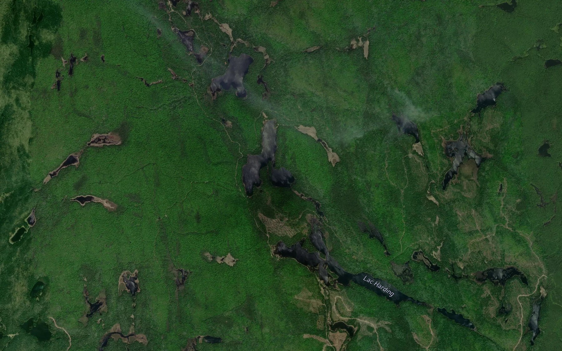 Satellite map of the Lac de la Roche Noire