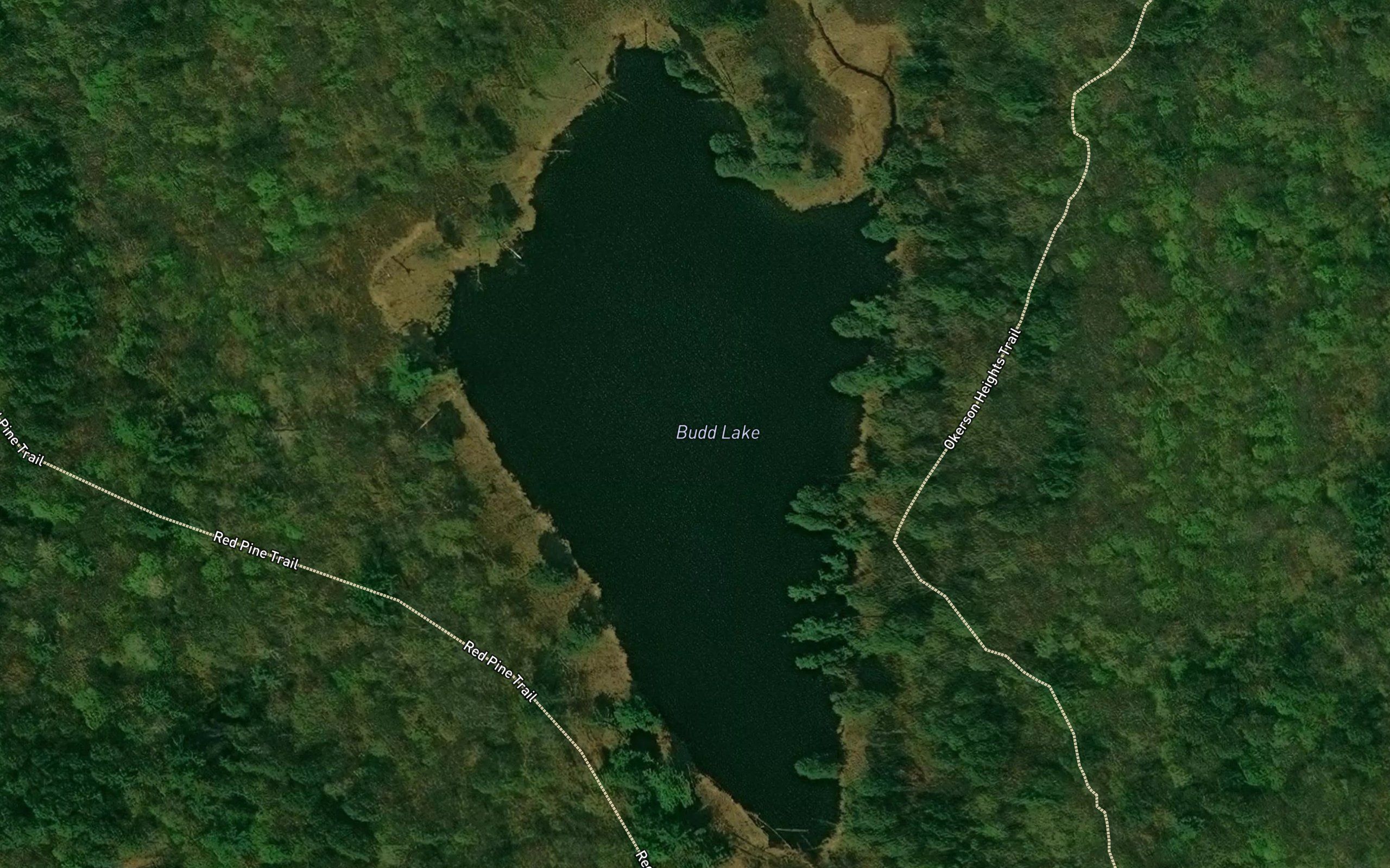 Budd Lake