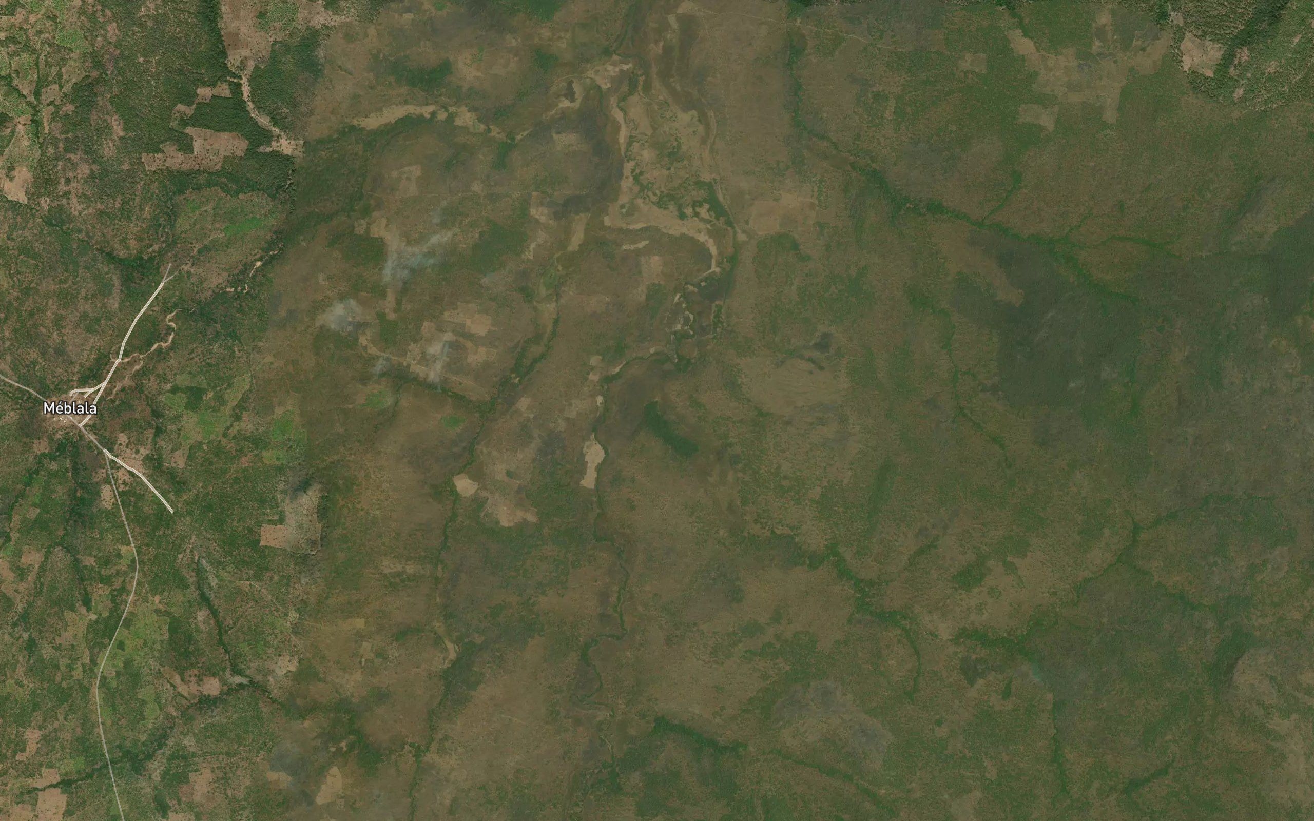 Torotou
