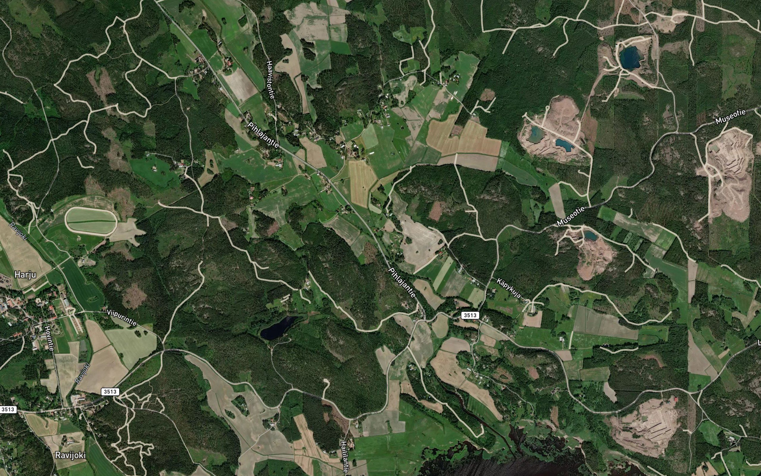 Kansanniitynoja
