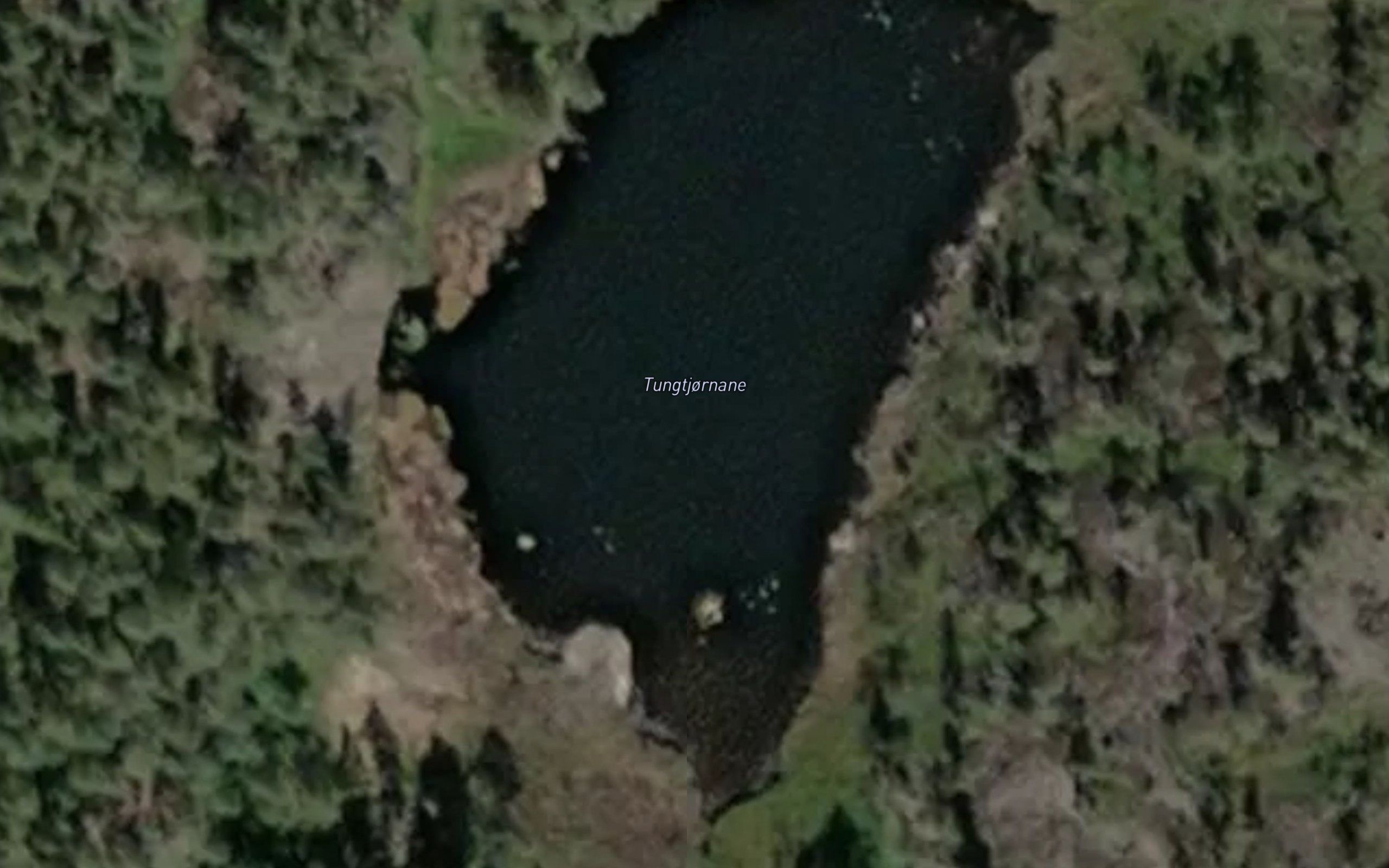 Tungtjornane